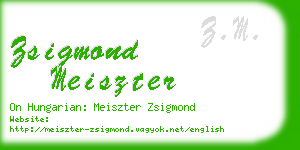 zsigmond meiszter business card
